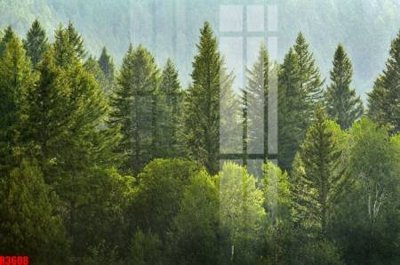 Tải file gốc file tranh in treo tường file decor tổng hợp R3608 (in tráng gương) siêu đẹpFile tranh gốc file tranh in treo tường file decor tổng hợp R3608 chất lượng cao