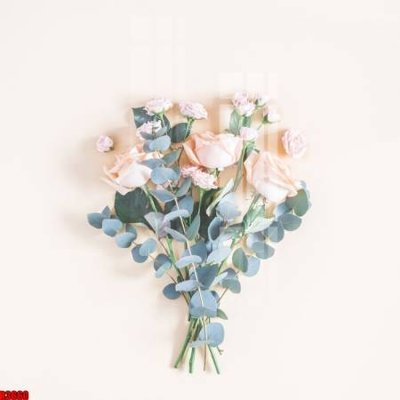 File ảnh gốc file tranh in treo tường file decor tổng hợp R3660 (chuyên in mica)