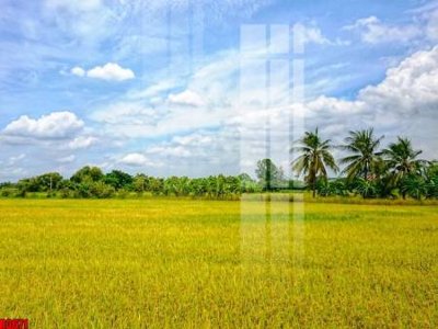 File PSD file tranh in treo tường file decor tổng hợp R3671 (bản gốc) dễ dàng edit