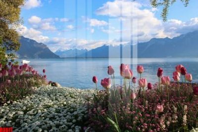 File in trần file tranh in treo tường file decor tổng hợp R3677 (bản gốc) hoa văn