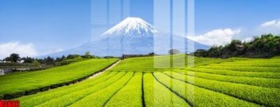 Chi tiết file gốc file tranh in treo tường file decor tổng hợp R3682 (cho in tráng gương)