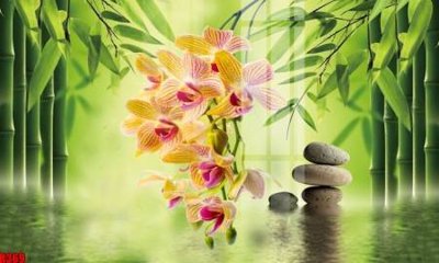 Tải file PSD file tranh in treo tường file decor tổng hợp R369 (nguyên layer) để in