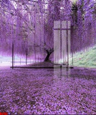 File tranh file tranh in treo tường file decor tổng hợp R3702 (bản gốc) treo quán cafe