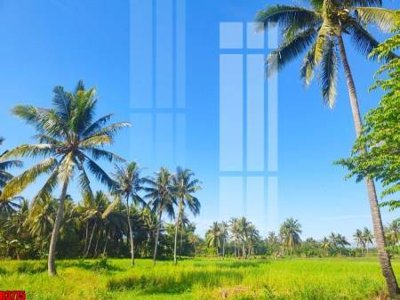 Tải file gốc file tranh in treo tường file decor tổng hợp R3775 (bản PSD) còn layer