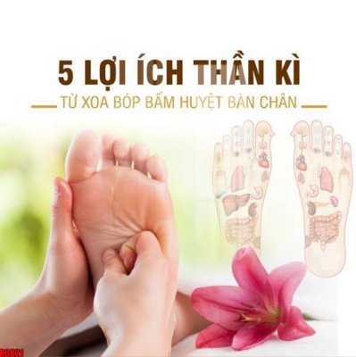 File gốc file tranh in treo tường file decor tổng hợp R3821 (AI/EPS) cho in ấn