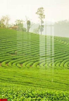 Hình ảnh gốc file tranh in treo tường file decor tổng hợp R3840 (để in khổ lớn)