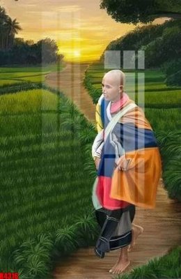 File in trần file tranh in treo tường file decor tổng hợp R4316 (file gốc) xuyên sáng