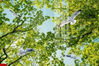 Tải file gốc file tranh in treo tường file decor tổng hợp R4394 (in tráng gương) 3DFile gốc file tranh in treo tường file decor tổng hợp R4394 (sẵn sàng in) chất lượng cao