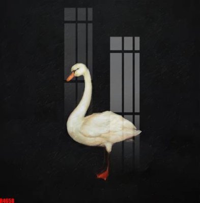 File gốc file tranh in treo tường file decor tổng hợp R4658 (in tráng gương) ốp tường