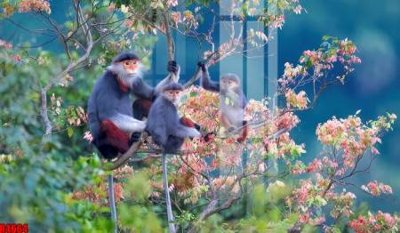 File gốc in tráng gương file tranh in treo tường file decor tổng hợp R4664 chi tiết