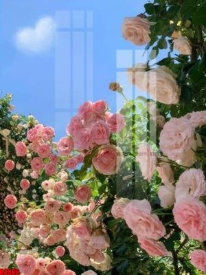 Tải file file tranh in treo tường file decor tổng hợp R4986 (ảnh gốc) in tranh kính