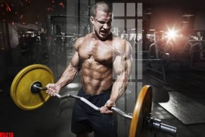 File tranh file tranh in treo tường file decor tổng hợp R5213 (bản gốc) trang trí văn phòng