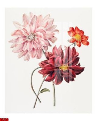 File gốc file tranh in treo tường file decor tổng hợp R5230 (trang trí) cho phòng khách