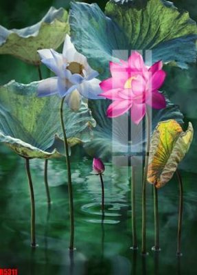 File tranh file tranh in treo tường file decor tổng hợp R5311 (ảnh gốc) chi tiết rõ ràng