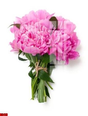 Download file file tranh in treo tường file decor tổng hợp R5419 (gốc) in mica bàn thờ