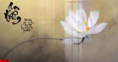 Tải file gốc file tranh in treo tường file decor tổng hợp R5502 (in không vỡ ảnh)