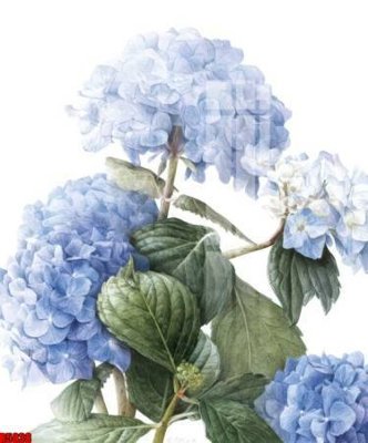 File gốc file tranh in treo tường file decor tổng hợp R5838 (Filetranh.com) file tranh in treo tường file decor tổng hợp R5838