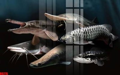 File gốc file tranh in treo tường file decor tổng hợp R6276 (in ấn) không giới hạn