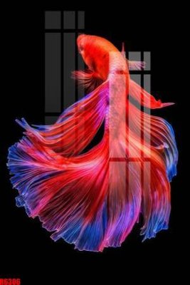 File gốc in ấn file tranh in treo tường file decor tổng hợp R6306 độ phân giải cao