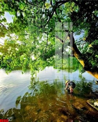 File PSD file tranh in treo tường file decor tổng hợp R6443 (bản gốc) chất lượng nhất