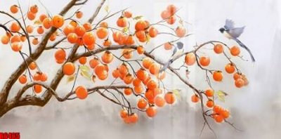 File in trần file tranh in treo tường file decor tổng hợp R6465 (bản gốc) đại dương