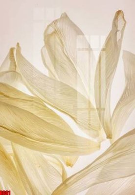 File tranh file tranh in treo tường file decor tổng hợp R661 (file gốc) chuẩn màu in