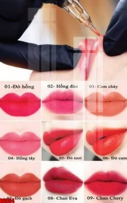 File tranh file tranh in treo tường file decor tổng hợp R6954 (ảnh gốc) sắc nét hoàn hảo