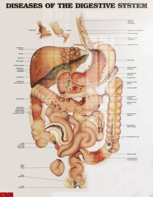 File tranh file tranh in treo tường file decor tổng hợp R7035 (bản gốc) treo quán cafe