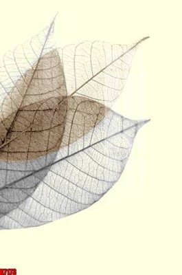 File PSD file tranh in treo tường file decor tổng hợp R7173 (bản gốc) đã tách nền