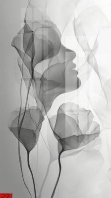 File gốc file tranh in treo tường file decor tổng hợp R7431 (thiết kế) cho in ấn