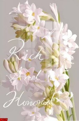 File gốc file tranh in treo tường file decor tổng hợp R7657 (in lụa) tranh phong thủy