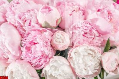 File gốc file tranh in treo tường file decor tổng hợp R7898 (PNG) nền trong suốt