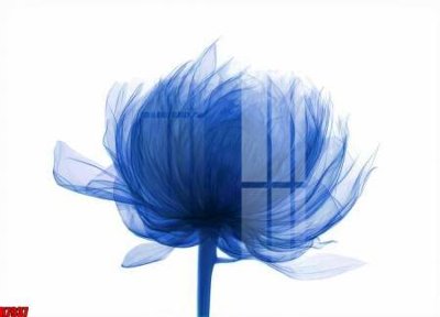 File tranh file tranh in treo tường file decor tổng hợp R7937 (gốc) in film