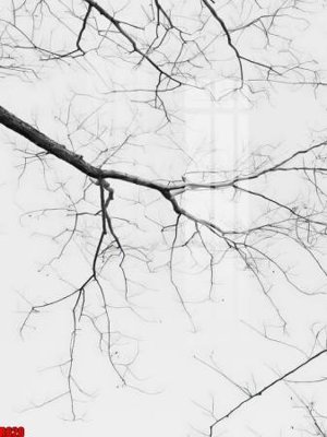 File PSD file tranh in treo tường file decor tổng hợp R820 (bản gốc) cho nhà in