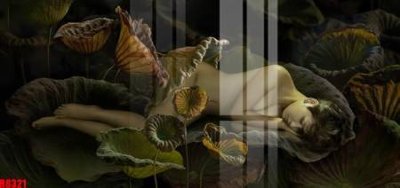 Mua file gốc file tranh in treo tường file decor tổng hợp R8321 (in ấn) tại Filetranh.com