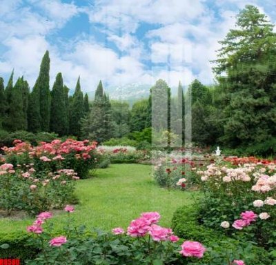 File gốc file tranh in treo tường file decor tổng hợp R8580 (in lụa) trang trí tường