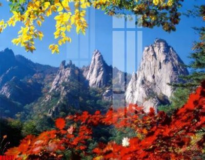 Download file file tranh in treo tường file decor tổng hợp R8647 (chuẩn in) chất lượng cao