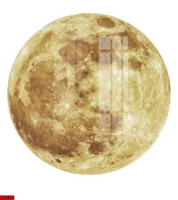 File gốc file tranh in treo tường file decor tổng hợp R8650 (in lụa) chi tiết cao