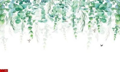 Tải file file tranh in treo tường file decor tổng hợp R8972 (gốc) in tranh tráng gương