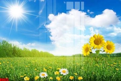 File gốc file tranh in treo tường file decor tổng hợp R9023 (in lụa) tranh thuận buồm