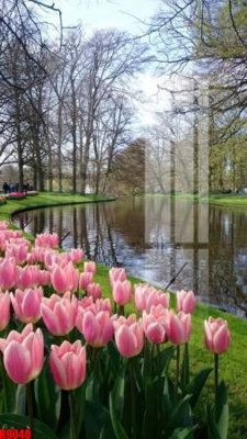 Hình ảnh file gốc in lụa file tranh in treo tường file decor tổng hợp R9040