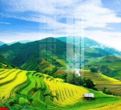 Tải file file tranh in treo tường file decor tổng hợp R9045 (ảnh gốc) file AI/EPS