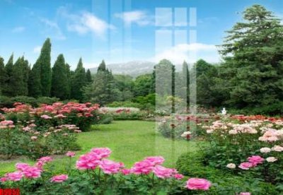 File gốc file tranh in treo tường file decor tổng hợp R9052 (in tráng gương) hiện đại