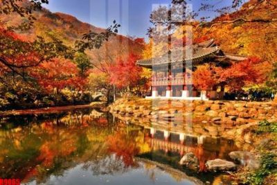 File gốc file tranh in treo tường file decor tổng hợp R9065 (chủ đề hiện đại) trang trí