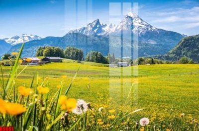 File PSD file tranh in treo tường file decor tổng hợp R9097 (gốc) cho designer