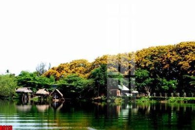 File in ấn cao cấp file tranh in treo tường file decor tổng hợp R9113 (file gốc)