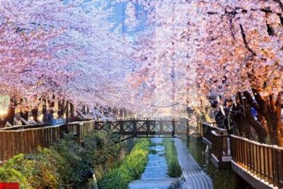 Download file file tranh in treo tường file decor tổng hợp R9129 (chuẩn in) chất lượng cao