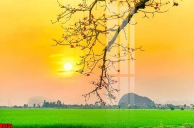 File gốc file tranh in treo tường file decor tổng hợp R9131 (in 3D) cho trang trí