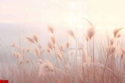 File ảnh file tranh in treo tường file decor tổng hợp R9135 (gốc) in Hiflex