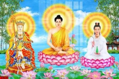 Ảnh gốc file tranh in treo tường file decor tổng hợp R9203 (độ nét cao) in mica